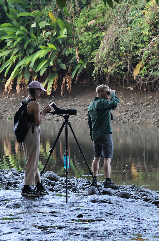 Corcovado Flora & Fauna - Surcos Tours