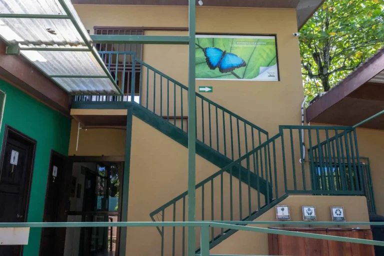 Escaleras