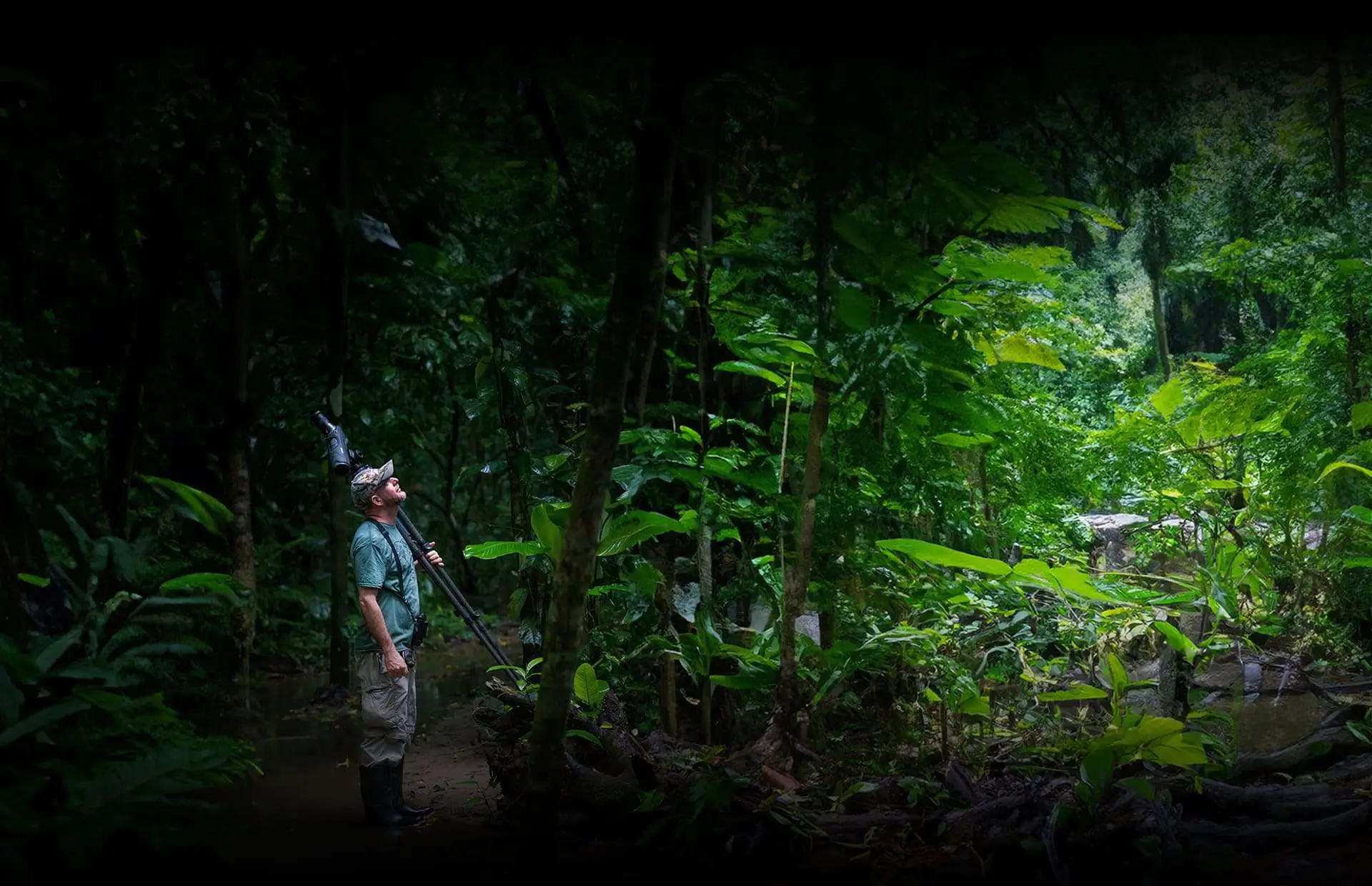 Corcovado National Park, Costa Rica - Surcos Tours