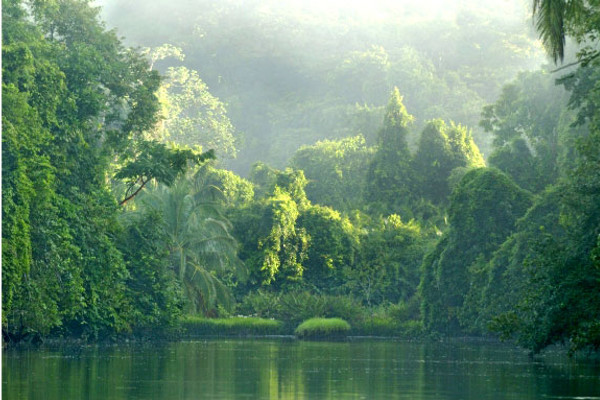 Corcovado Extreme - Surcos Tours
